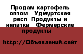 Продам картофель оптом - Удмуртская респ. Продукты и напитки » Фермерские продукты   